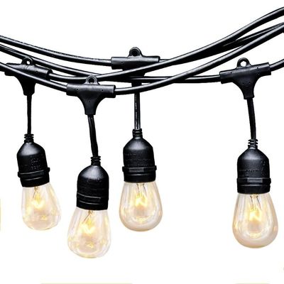 Customized Color Size LED String Light For Outdoor Festoon Garden Decoration