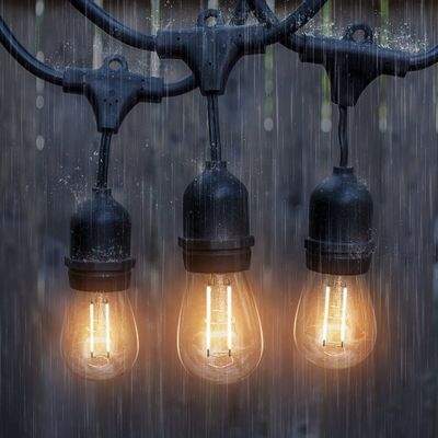Customized Color Size LED String Light For Outdoor Festoon Garden Decoration