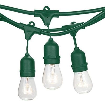 Customized Color Size LED String Light For Outdoor Festoon Garden Decoration
